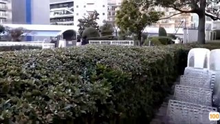 xxx国产精品视频xxx,成人视频高清免费观看